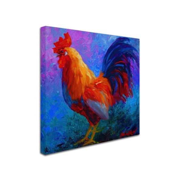 Marion Rose 'Rooster Bob 1' Canvas Art,14x14